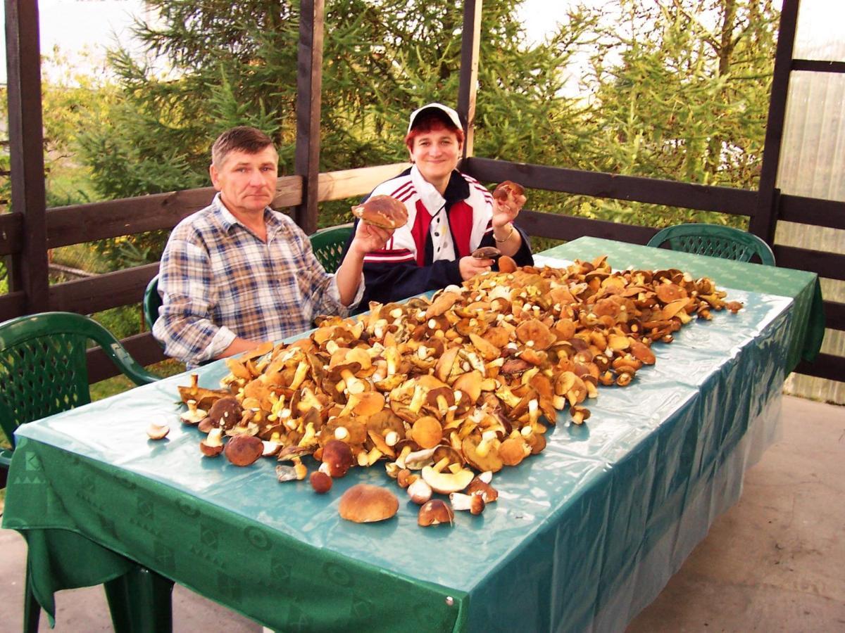 Biebrza24 - Agroturystyka Sztabin Ngoại thất bức ảnh