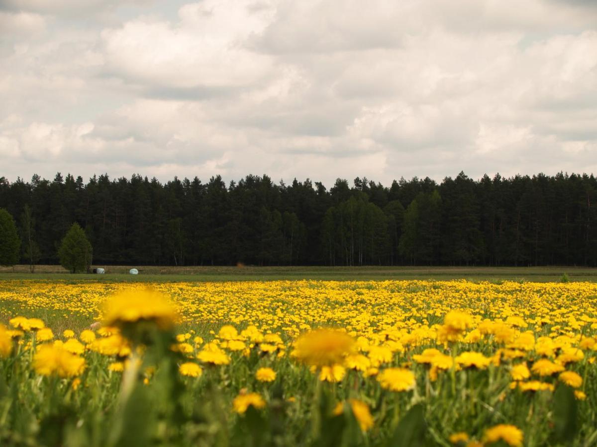 Biebrza24 - Agroturystyka Sztabin Ngoại thất bức ảnh